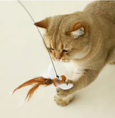 "Natural Instinct" Interactive Cat Feather Wand