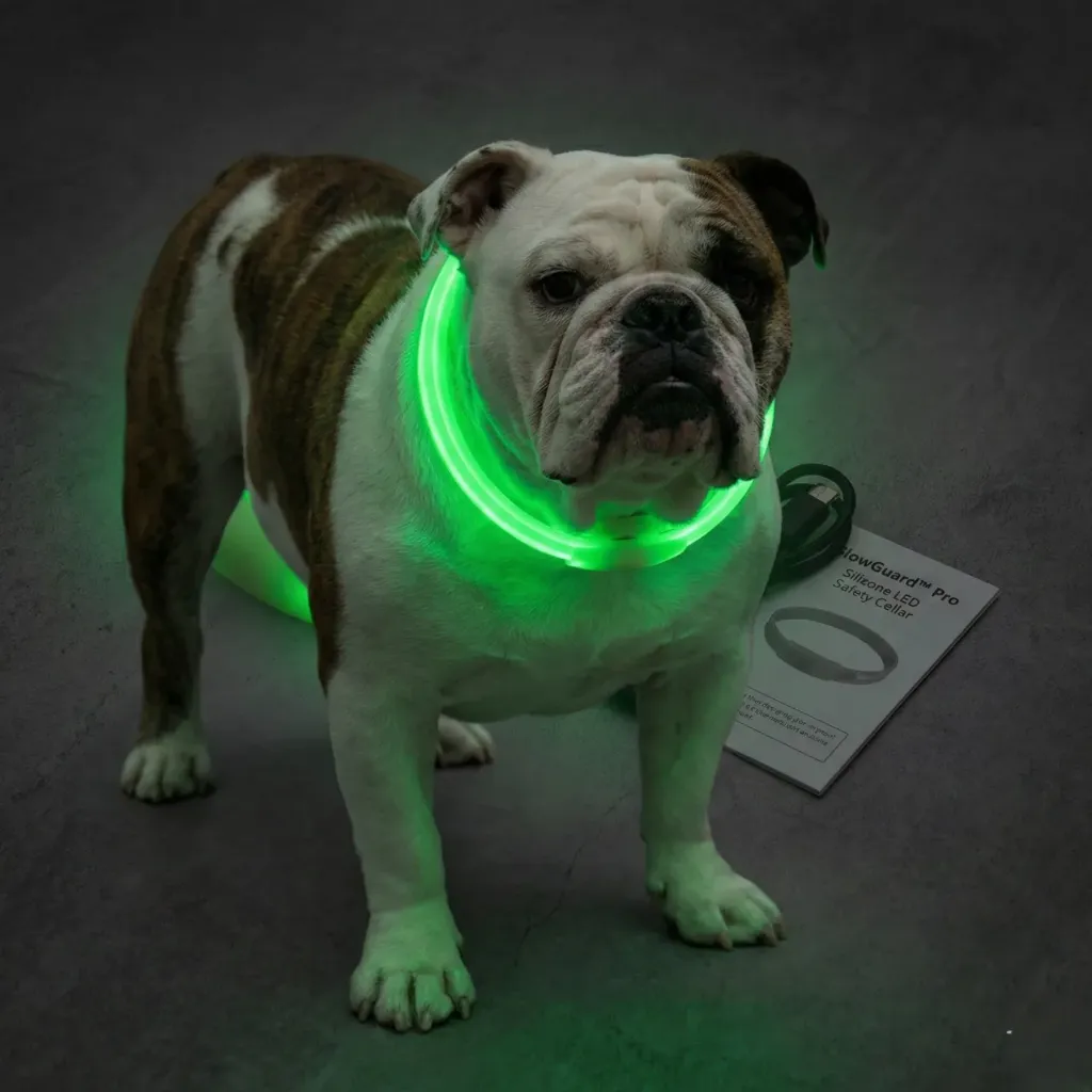 GlowGuard™ Pro Silicone LED Safety Collar USB Rechargeable