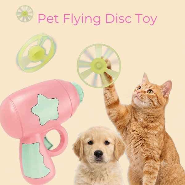 1 Amazing Interactive Cat Flying Disc Toy for Active Kittens (1) Interactive Cat Flying Disc Toy