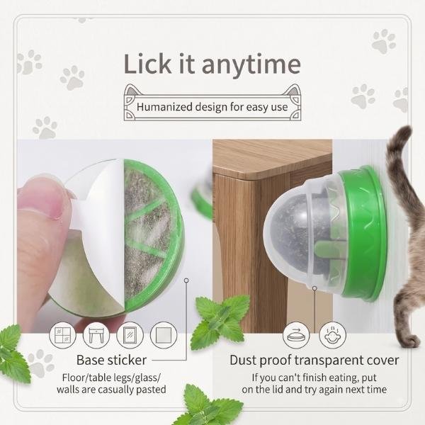 Natural Catnip Wall Stick-On Ball Toy (2)